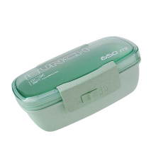 Plastic Food Container Salad Sandwich Picnic Lunch Box